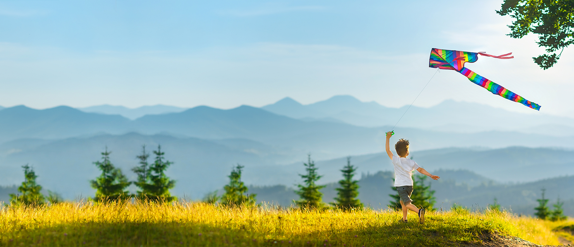 永攀高峰 引領未來